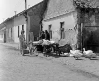 Trhová ulica, Fiľakovo (1959)