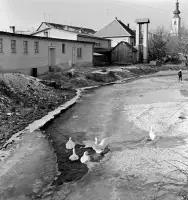 Potok Poltárica, v pozadí evanjelický kostol (1959)