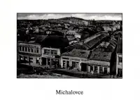 Hlavná ulica, Michalovce (1939)