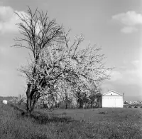 Kaplnka pri Tureckom moste, Poltár (1959)