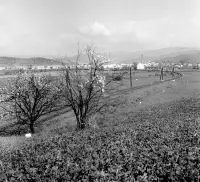Pohľad na mesto, v popredí kaplnka pri Tureckom moste, Poltár (1959)