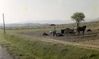 Pohľad z ulice Sklárska na ulicu Slobody, Poltár (1960)