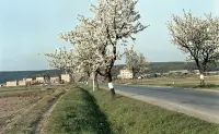Ulica Slobody, Poltár (1960)