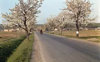 Ulica Slobody, Poltár (1960)