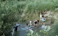Rieka Ipeľ pri meste, Poltár (1960)