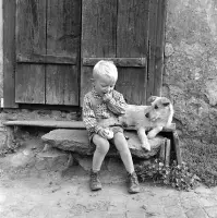 Podhradská ulica, Fiľakovo (1960)