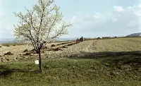 Pohľad na Poltár od juhu (1961)
