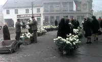 Kvetinový trh na rohu ulíc Adyho a Vajanského, Lučenec (1966)