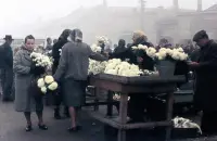 Kvetinový trh na rohu ulíc Adyho a Vajanského, Lučenec (1966)