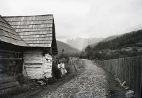 Cesta do Bystrej doliny, v pozadí Chopok, Bystrá (1931)