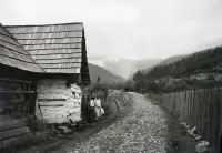 Cesta do Bystrej doliny, v pozadí Chopok, Bystrá (1931)