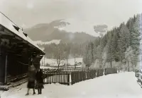 Hnilecká dolina v zime, Stará Voda (1934)