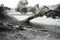 Prameň Schulerloch, Spišská Nová Ves (1931)