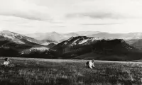 Veľká Fatra, vrch Ploská a Čierny kameň, Liptovské Revúce (1935)