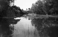 Rieka Váh, Lúky (1940)