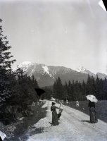 Cesta k Starému Smokovcu, vľavo Slavkovský štít, Vysoké Tatry (1901)