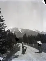 Cesta k Starému Smokovcu, vľavo Slavkovský štít, Vysoké Tatry (1901)