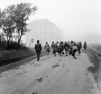 Školská ulica, vľavo škola, Poltár (1960)