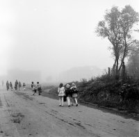 Školská ulica, Poltár (1960)