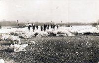 Parníky na zamrznutom Dunaji pri Bratislave, Strelníky (1927)