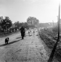 Ulica 9. mája, v pozadí most cez Poltaricu, Poltár (1960)