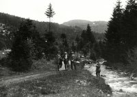 Malá Fatra, potok a ihličnatý les, Strelníky (1928)