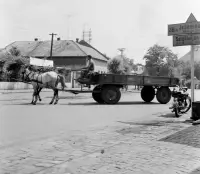 Hlavná ulica, v pozadí Berchtoldov kaštieľ, Fiľakovo (1959)