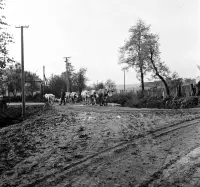 Ulica Revolučná, stádo smerom k mostu, Poltár (1960)