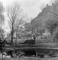 Jazierko v parku Berchtoldovho kaštieľa, Fiľakovo (1959)