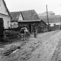 Ulica Obrancov mieru od Námestia 1. mája, Poltár (1960)