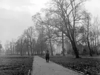 Mestský park, v pozadí Berchtoldov kaštieľ, Fiľakovo (1959)