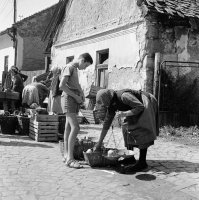 Trh na Trhovej ulici, Fiľakovo (1960)