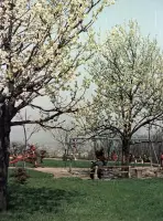 Detské ihrisko v záhrade pod hradom, Bratislava (1956)