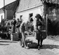 Trh na Trhovej ulici, Fiľakovo (1960)