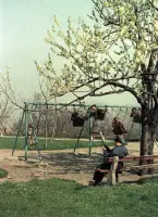 Detské ihrisko v záhrade pod hradom, Bratislava (1956)