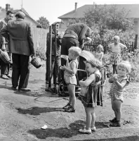 Prameň na Farskej lúke, Fiľakovo (1960)