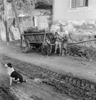Podhradská ulica, Fiľakovo (1960)