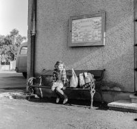 Lavička, Strelníky (1960)