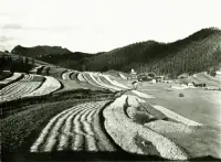 Poľnohospodárske práce, Vernár (1936)