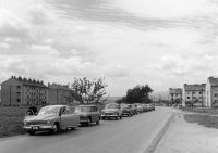 Cesta s automobilom, Dubnica nad Váhom (1960)