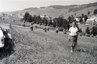 Stohy sena v doline, Ždiar (1971)