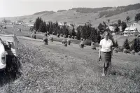 Stohy sena v doline, Ždiar (1971)