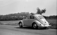 Kaštieľ nad Lipovou ulicou a evanjelický kostol, Halič (1965)