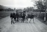 Teplá voda, Jelšava (1940)