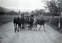 Teplá voda, Jelšava (1940)