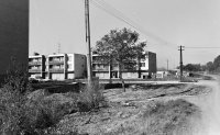 Záhradnícka ulica, Senec (1973)