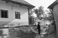 Ulica na mieste dnešnej Hviezdoslavovej, Levice (1939)