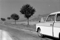 Turniansky hrad, Turňa nad Bodvou (1961)
