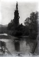 Potok pri obci, Vrbovce (1920)