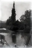 Potok pri obci, Vrbovce (1920)